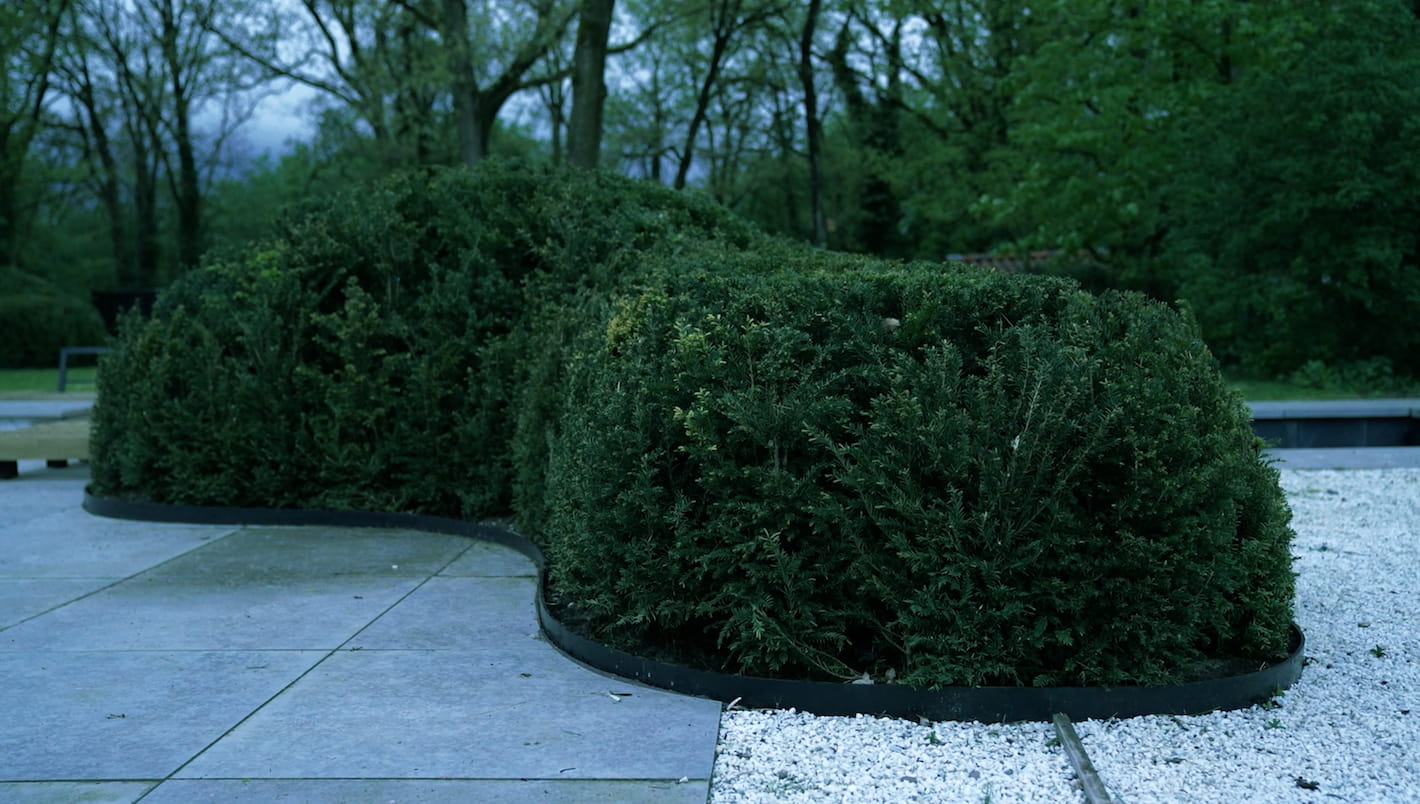 Close-up van een strak gesnoeide haag, omringd door grind en betegeling, onderdeel van een beplantingsonderhoud project door Snijers Tuinen in Soest.