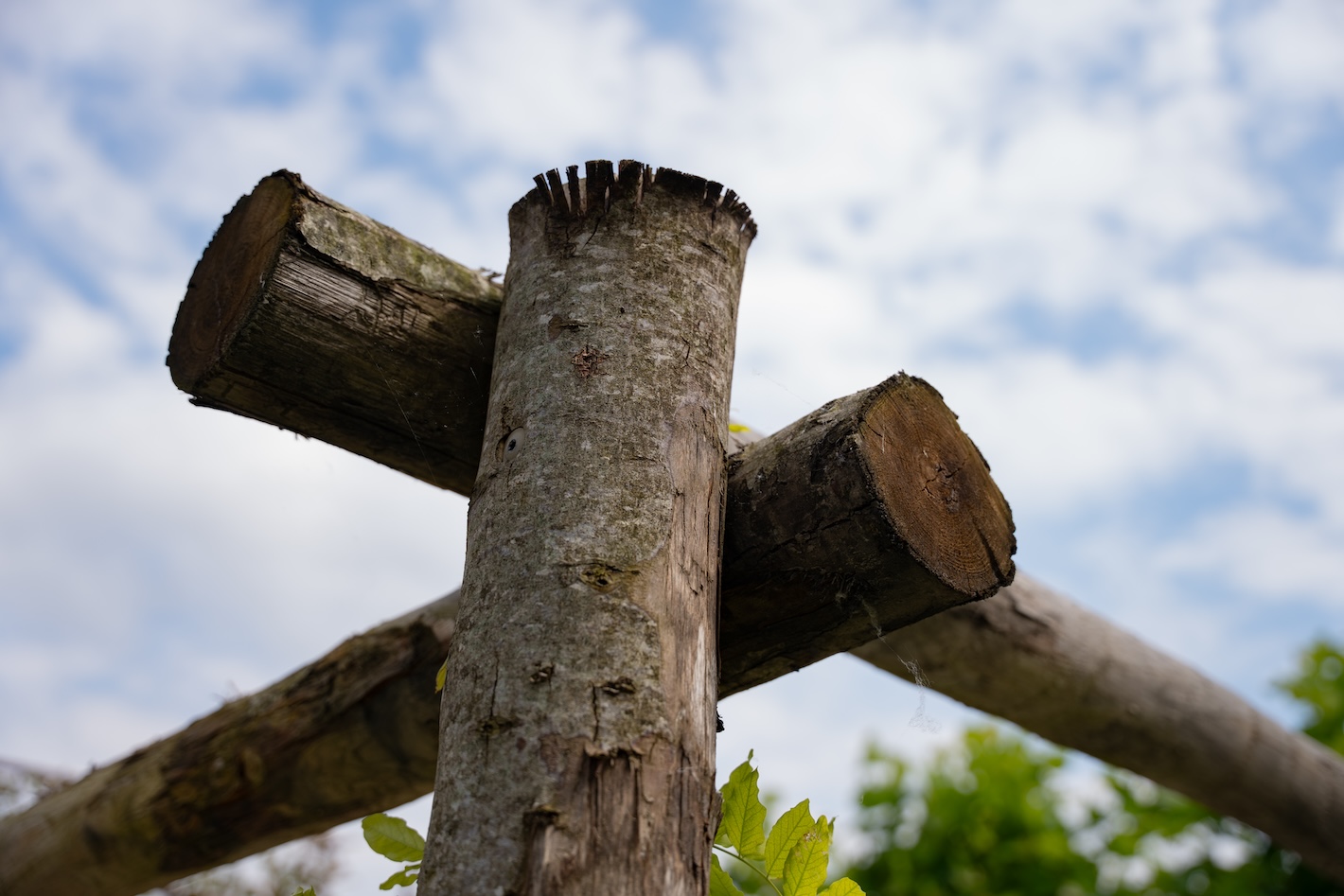 Houten pergola met stevige balken, onderdeel van een tuinproject uitgevoerd door hovenier Snijers Tuinen.